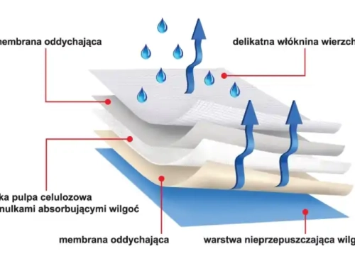 Podkłady higieniczne i treningowe – zastosowanie i wybór Podkłady higieniczne i treningowe – zastosowanie i wybór
